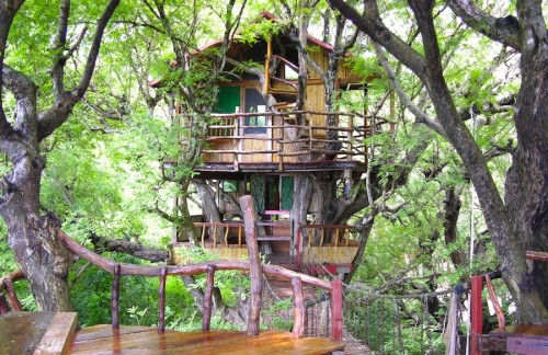 Treetop Hotels Sanya