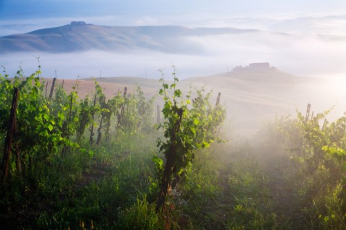 Beste-Wijnstreken-Toscane