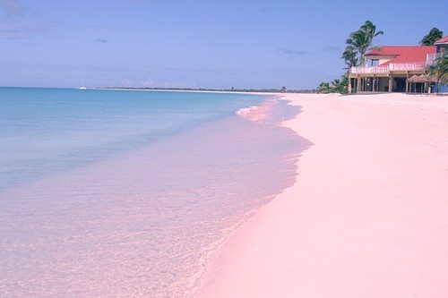 Barbuda beach