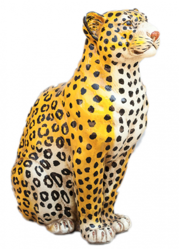 leopard beeld