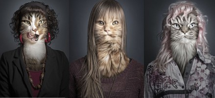 Deze fotograaf zorgt ervoor dat jouw kat als twee druppels wat...