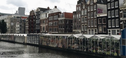 Column Carolijn: het leed dat mijn bedrijfsarts heet