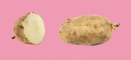 Wat gebeurt er als je een jaar lang alleen maar aardappels eet?