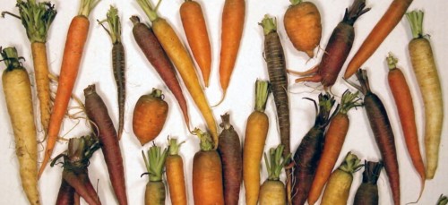 Wat gebeurt er met je lichaam als je iedere dag wortels eet?