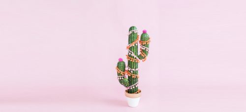 DIY: toffe kerstcactus in een handomdraai