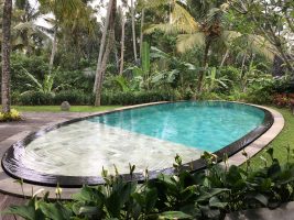 Column Robin: Leven in de jungle van Bali als Tarzan & Jane