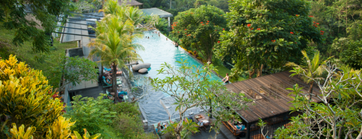 Bali Travel Guide: Ubud