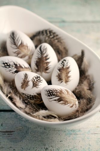 feather-eggs-2-768x1152