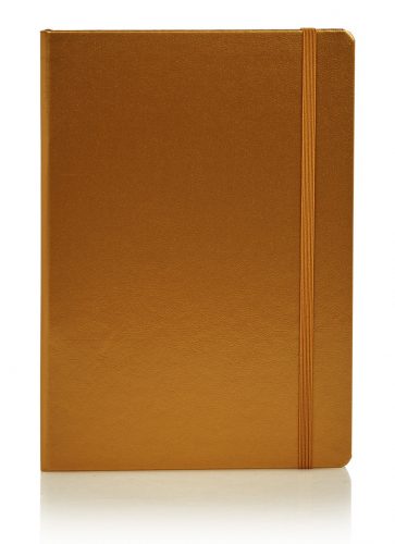 leuchtturm-1917-a5-gestippeld-notitieboek