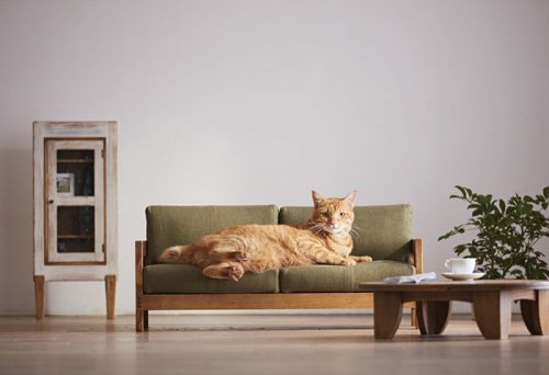 katten meubels