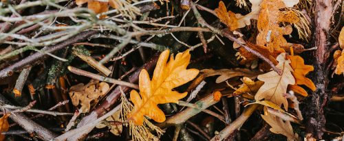 Herfstdip? Niet met deze tips