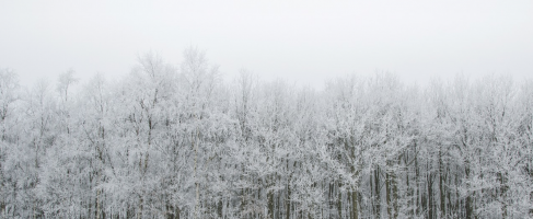 35 dingen om deze winter te doen