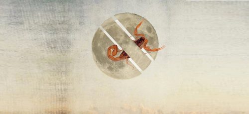 7 mei: Volle Maan in Schorpioen